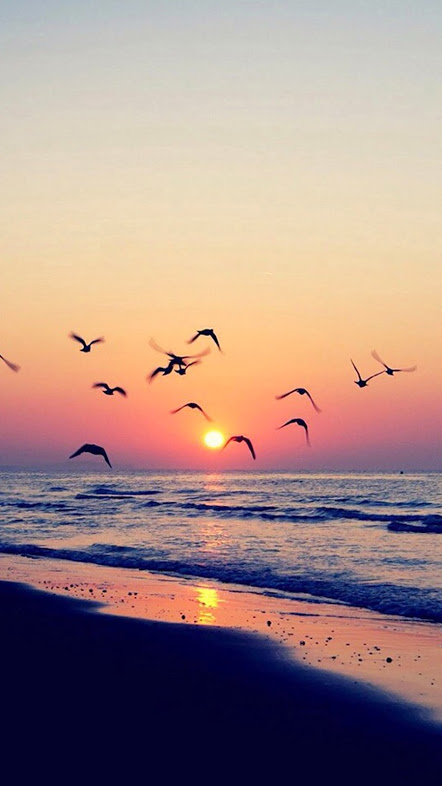 Beach Sunset